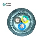 BS5467 CU/XLPE/PVC/SWA/PVC 0.6/1kV